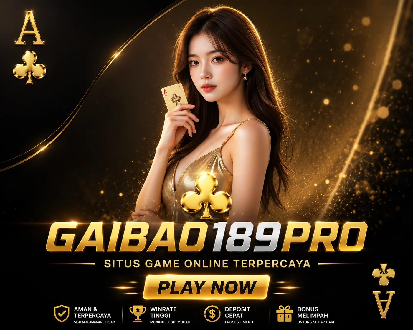 GAIBO189PRO